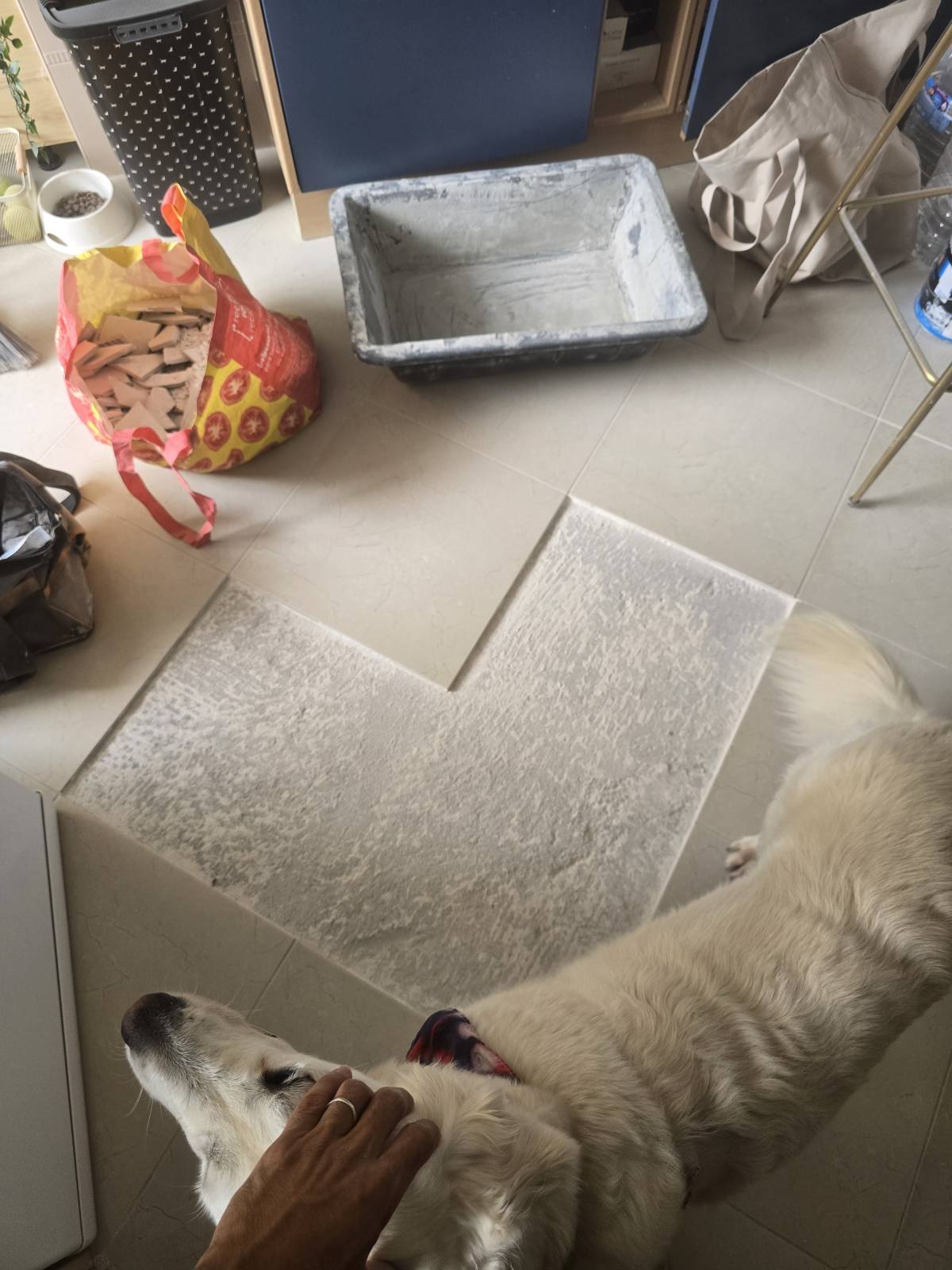 Marcos Rodrigues - Faro - Roof Installation or Replacement