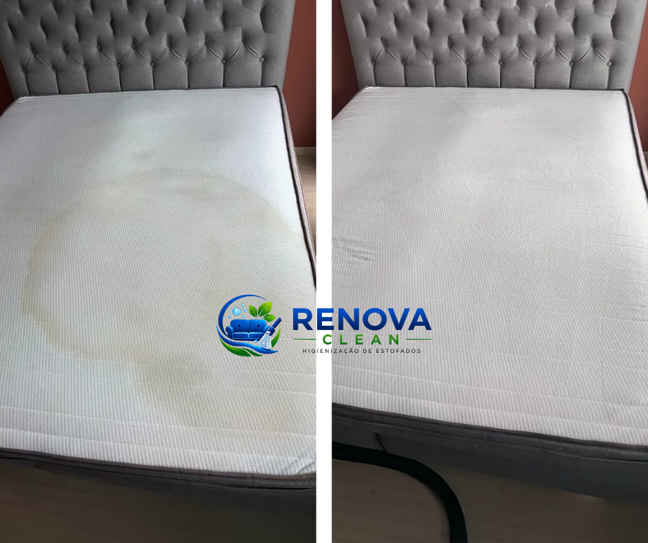 RENOVA CLEAN | Higienização de Estofados - Caldas da Rainha - Limpeza de Tapete
