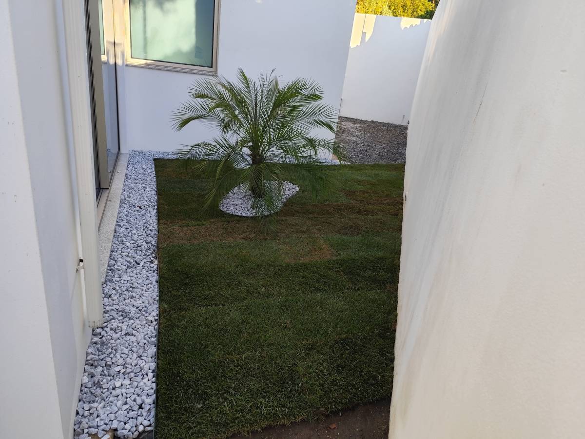 André Santos jardinagem - Vila Nova de Famalicão - Mulching