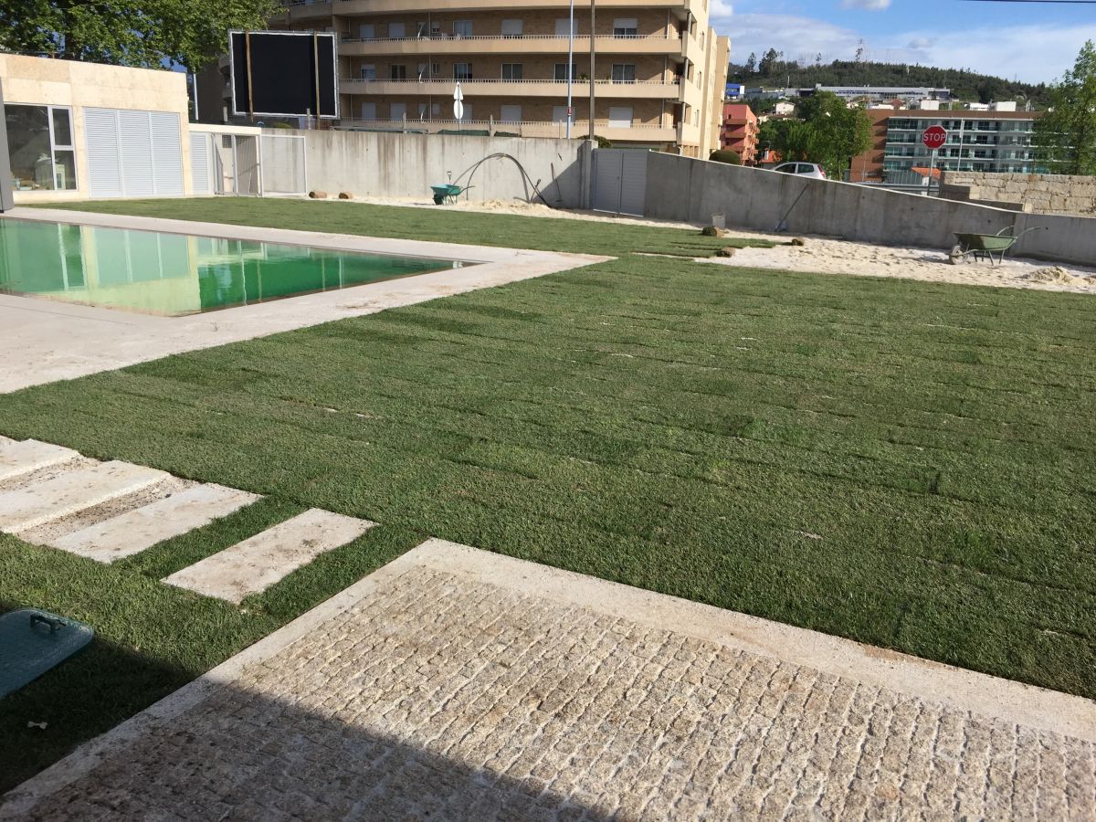 André Santos jardinagem - Vila Nova de Famalicão - Limpeza de Folhas (Recorrente)