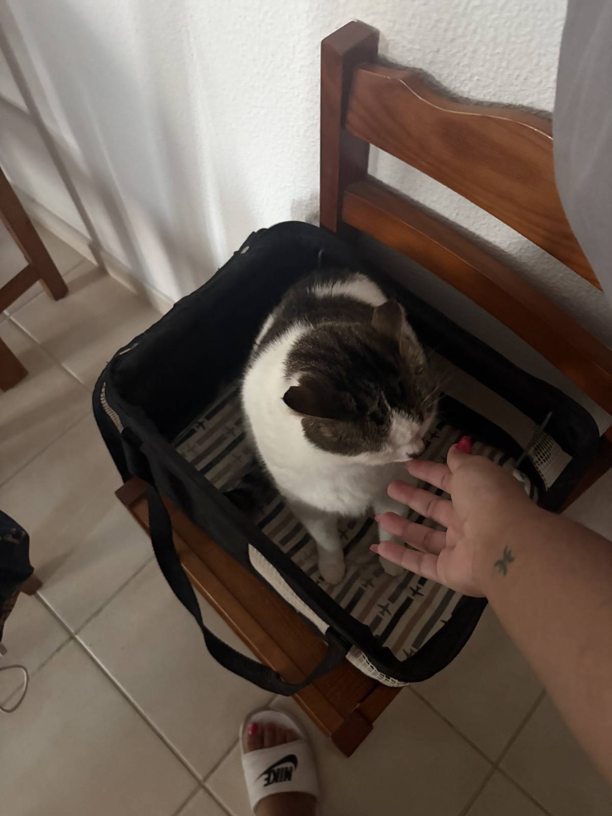 Nadya - Portimão - Pet Sitting and Walking