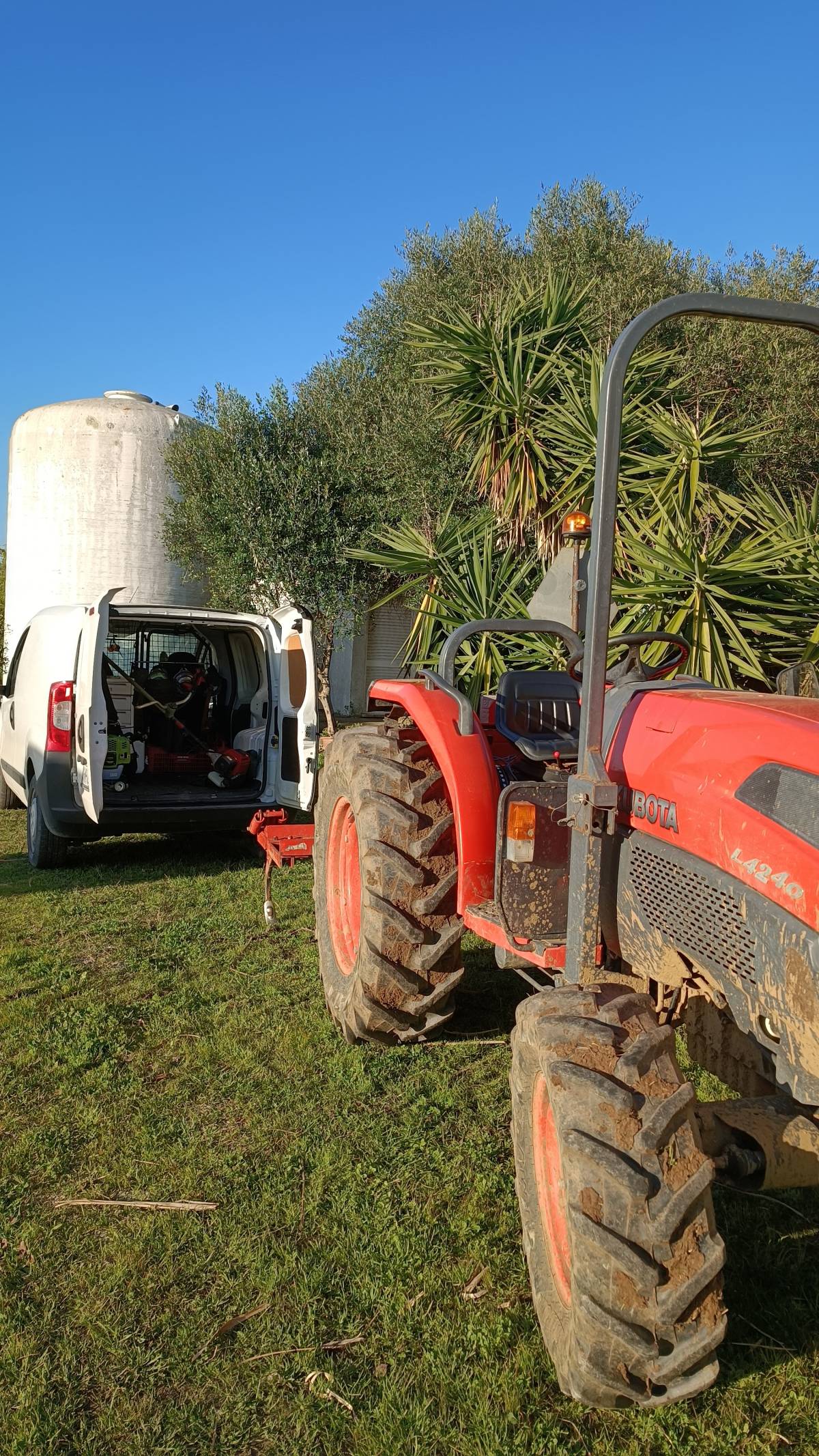 GC serviços de jardinagem - Sesimbra - Tratamento de Relvado