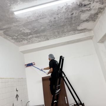 Vânia Vilanculos - Lourinhã - Trituración y eliminación de tocones