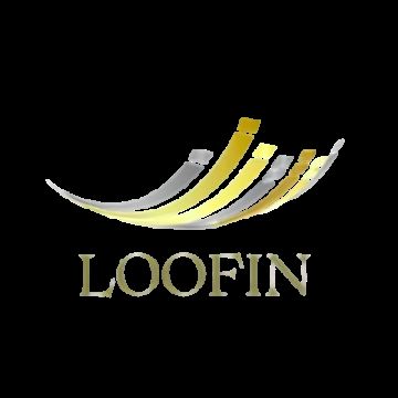 Loofin Pro - Consultoria para Negócios - Chaves - Presentation Services