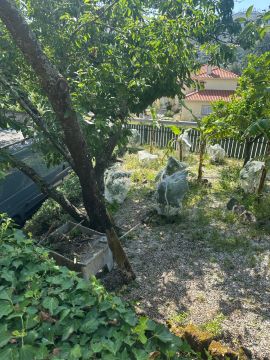 Jardinagem - Jardinagem e Relvados