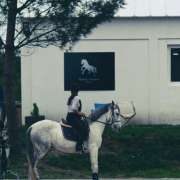 GQhorses - Ílhavo - Equitación
