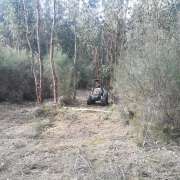 Jose Teixeira - Baião - Tree Stump Grinding and Removal