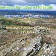 Jose Teixeira - Baião - Tree Trimming and Maintenance