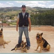 Reino das peripecias caninas - Cadaval - Treino de Cães