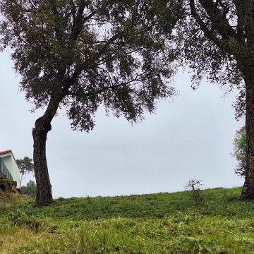 mvconstruçoes lda - Gondomar - Toiture ou couverture