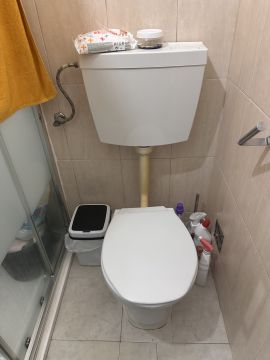 Toilet Repair