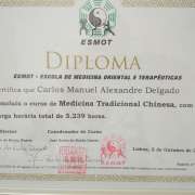 Carlos Delgado - Alcobaça - Sports Massage