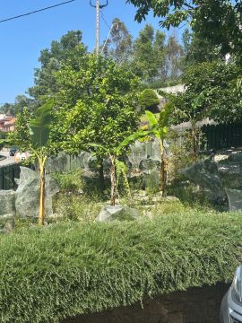 Jardinagem e Relvados