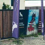 GQhorses - Ílhavo - Clases de equitación (para niños o adolescentes)