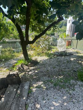 Jardinagem e Relvados - Casa