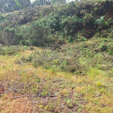 mvconstruçoes lda - Gondomar - Enlèvement de déchets et de gravats