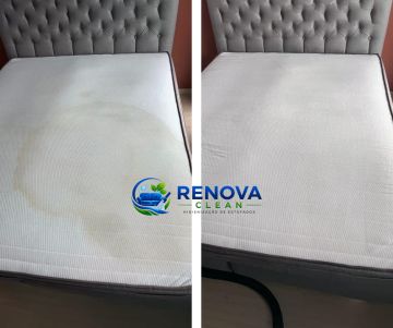 RENOVA CLEAN | Higienização de Estofados - Caldas da Rainha - Limpeza de Tapete