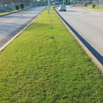 Canalização e montagem de relvados - Lisboa - Instalação de Tubos de Canalização