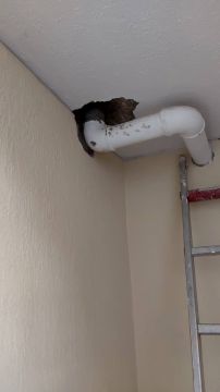 CBNJ REMODELAÇÕES - Arruda dos Vinhos - Instalação de Tubos de Canalização