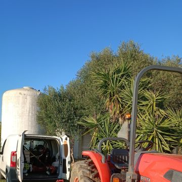 GC serviços de jardinagem - Sesimbra - Tratamento de Relvado