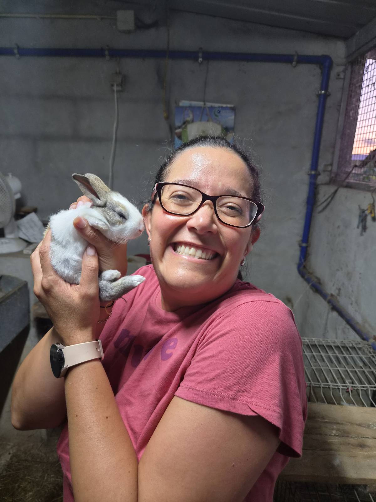Iris - Oliveira de Azeméis - Limpeza Geral