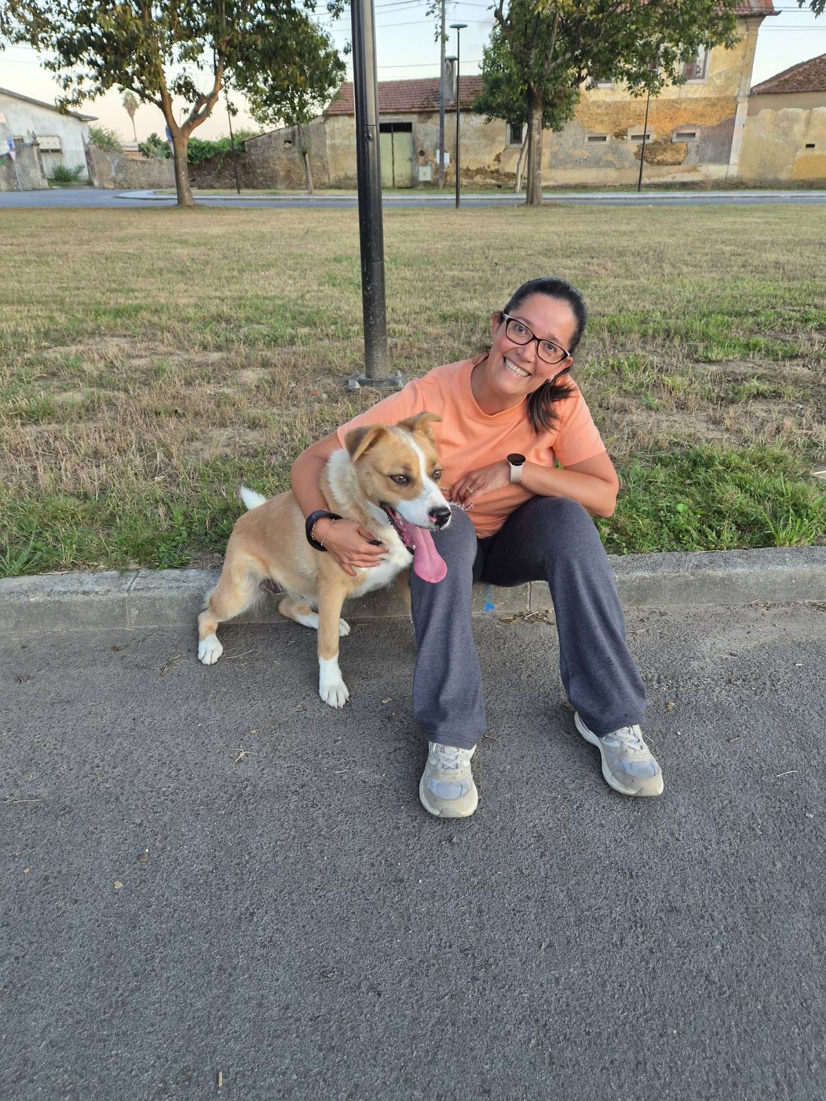 Iris - Oliveira de Azeméis - Dog Walking