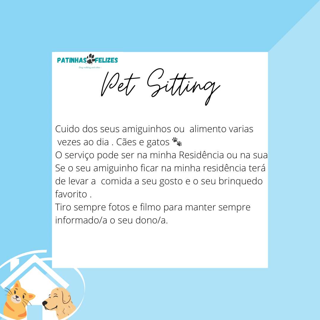 Patinhas felizes - Portimão - Cat Sitting