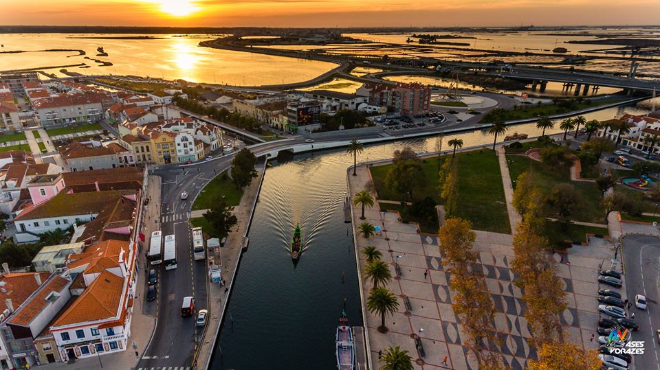 Paulinho - Aveiro - Tours e Provas de Vinhos