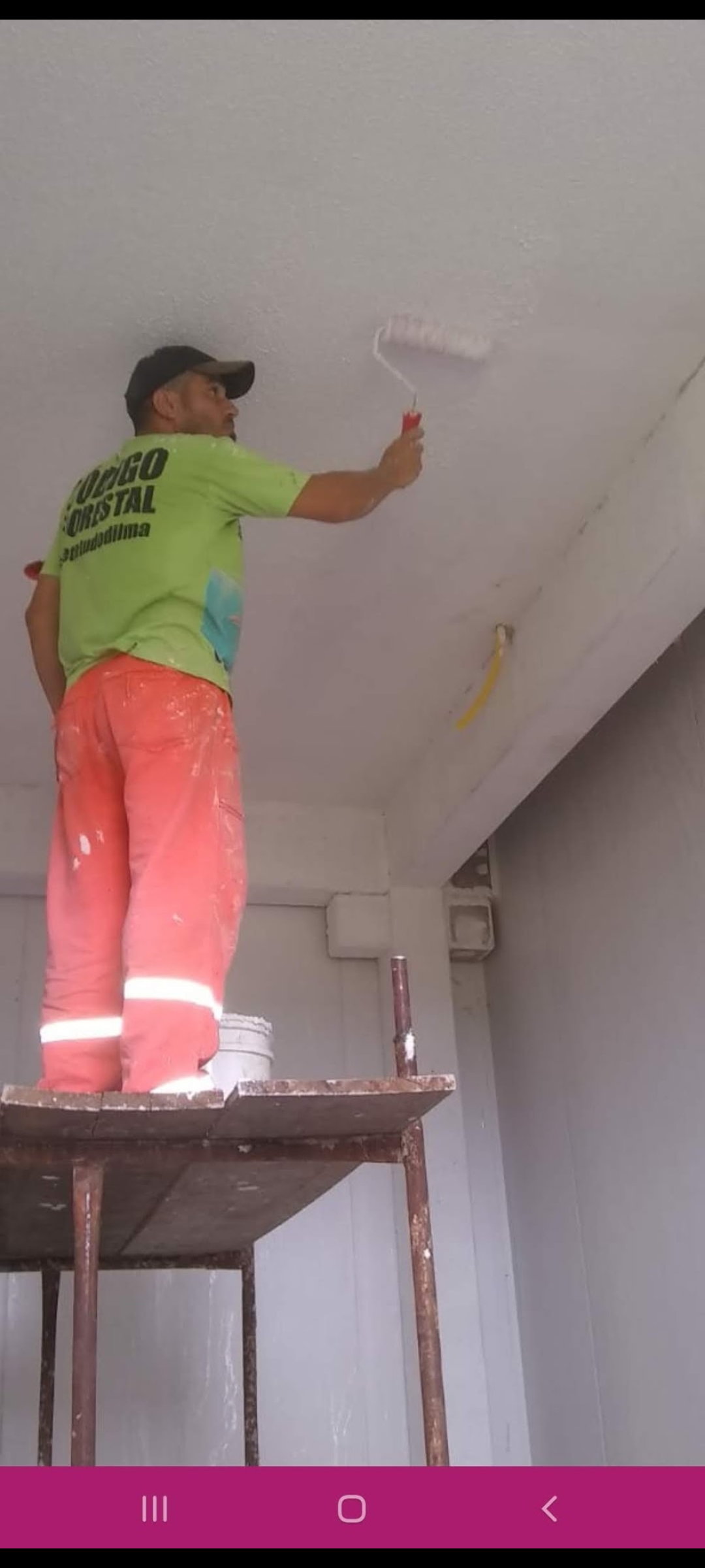 Flávio F.C Pintura e acabamentos - Celorico de Basto - Pintura de exteriores