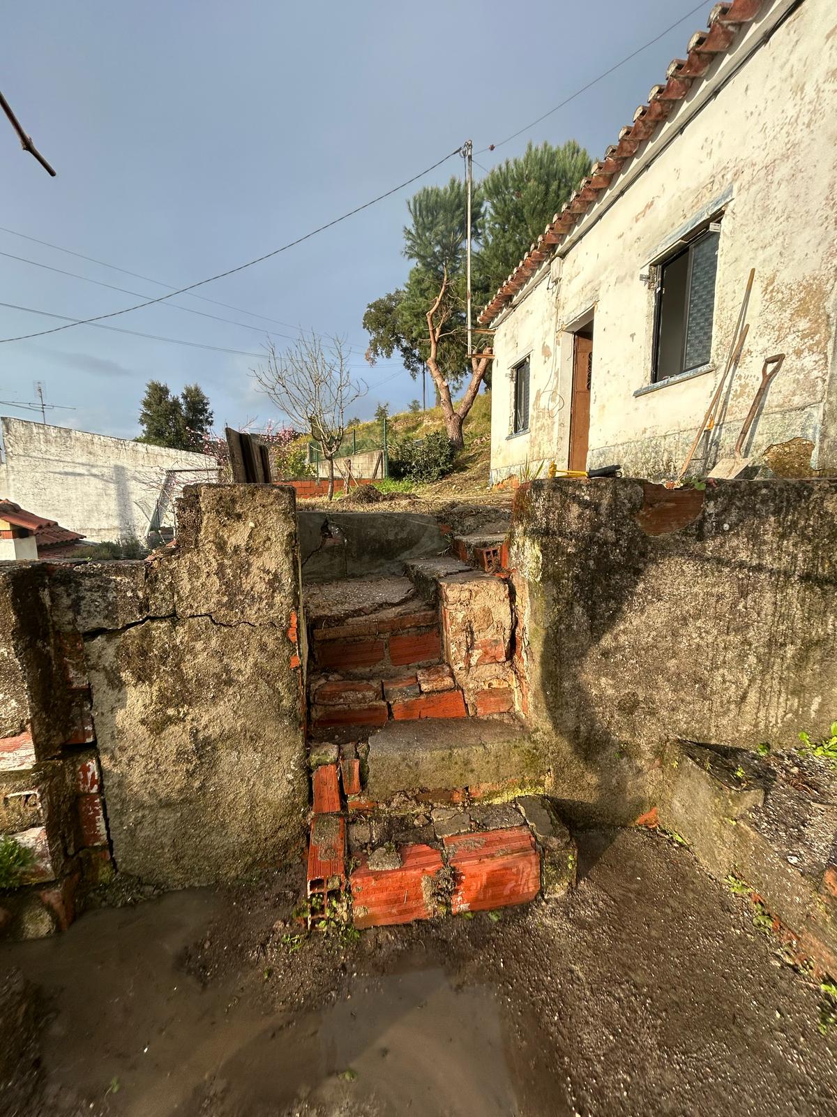 M&C Remodelações&Jardins - Abrantes - Shrub Removal