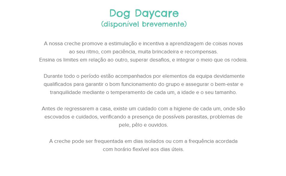 Braunhund - Lisboa - Dog Walking