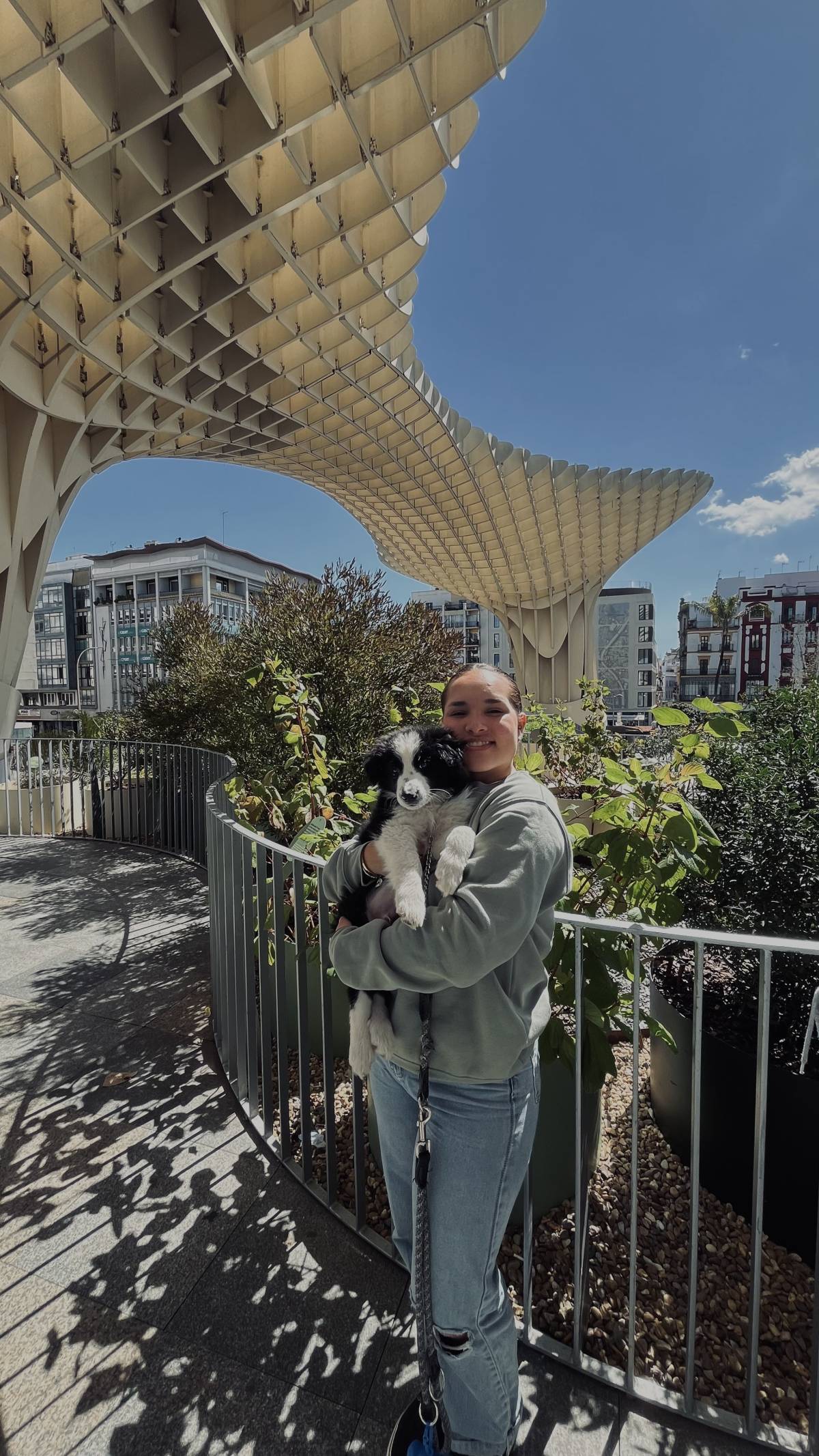 Melissa Miranda - Évora - Banhos e Tosquias para Animais