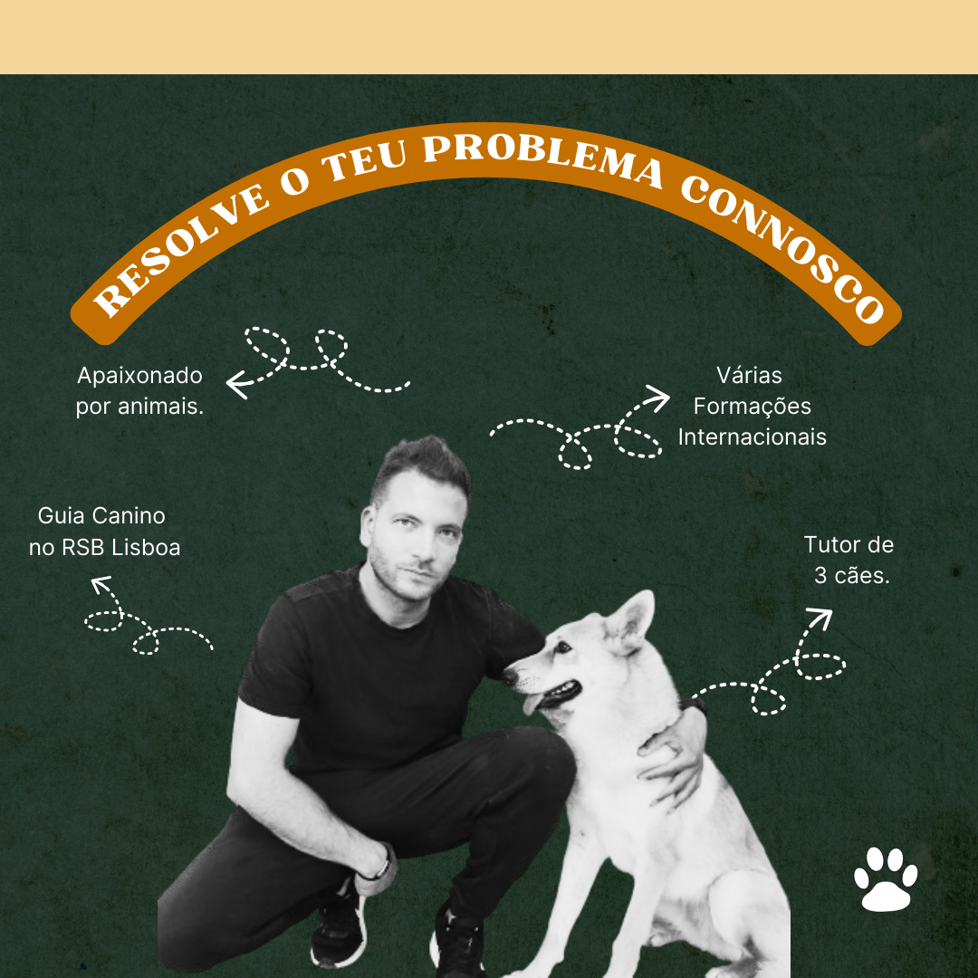 Grillok9 - Lisboa - Treino de Cães