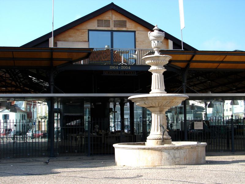 Paulinho - Aveiro - Transportation and Private Tours