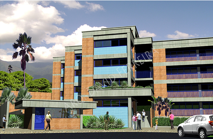 David Ferreira - Montijo - Architecture en ligne