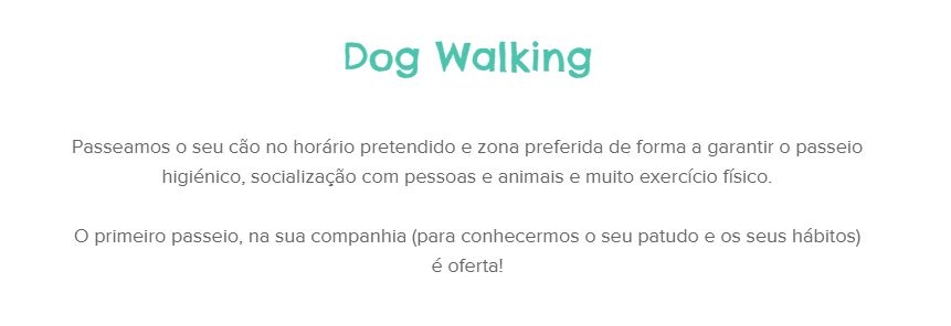 Braunhund - Lisboa - Dog Sitting