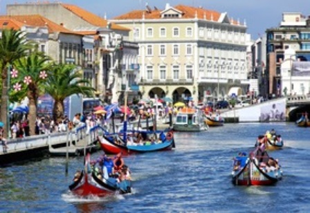 Paulinho - Aveiro - Transportation and Private Tours