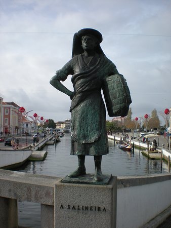 Paulinho - Aveiro - Transportation and Tour Guides