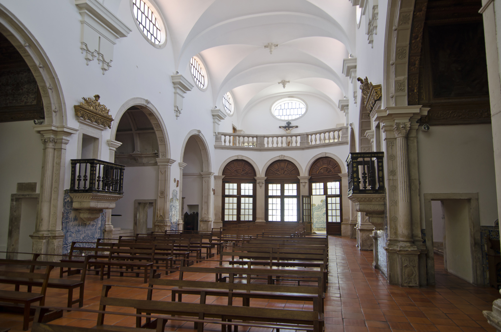 Paulinho - Aveiro - Transportation and Tour Guides
