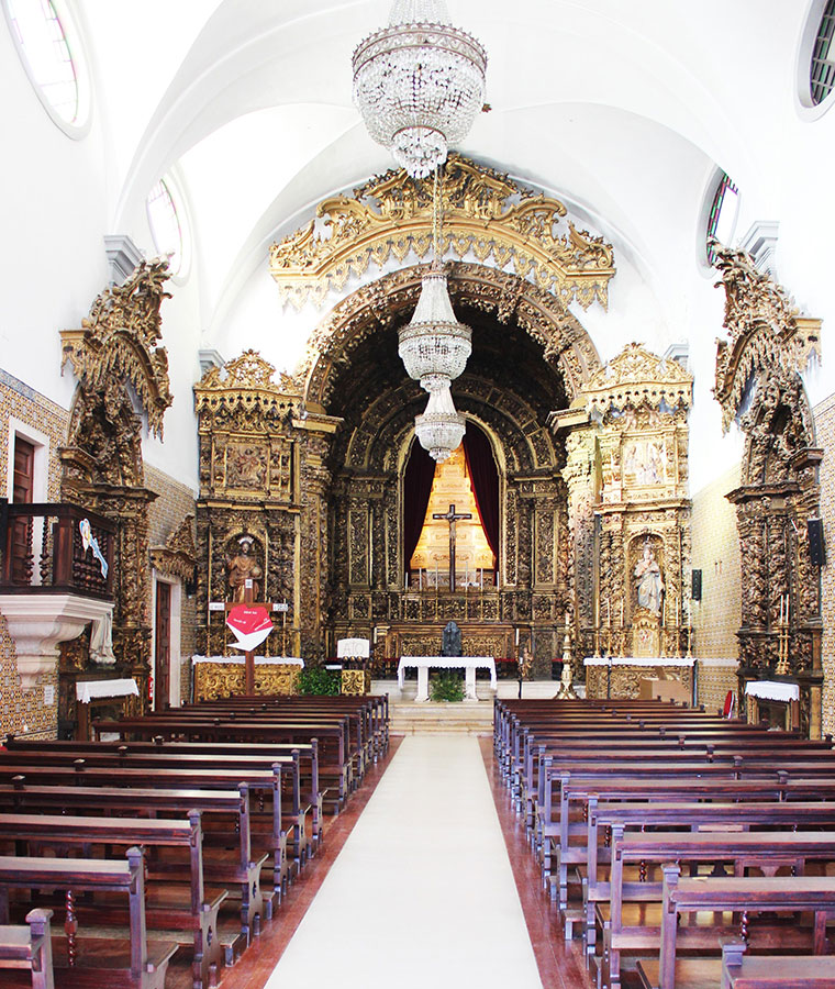 Paulinho - Aveiro - Wine Tastings and Tours