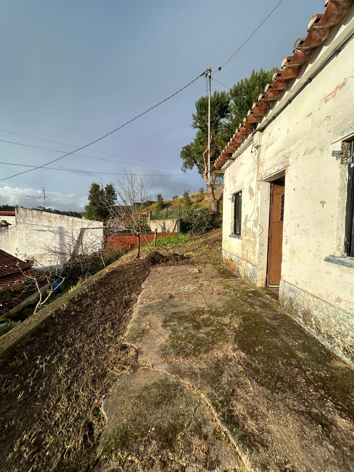 M&C Remodelações&Jardins - Abrantes - Tree Stump Grinding and Removal