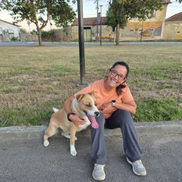 Iris - Oliveira de Azeméis - Dog Walking