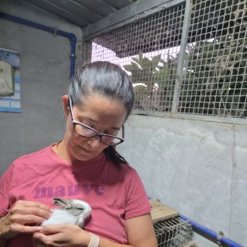 Iris - Oliveira de Azeméis - Limpeza da Casa (Recorrente)