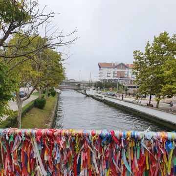 Paulinho - Aveiro - Tours e Provas de Vinhos