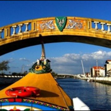 Paulinho - Aveiro - Transportes e Guias Turísticos