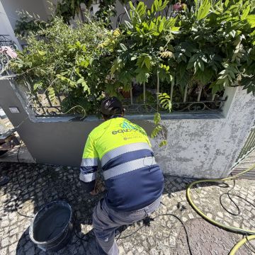 Equação venerável - Figueira da Foz - Instalação de Pavimento em Pedra ou Ladrilho