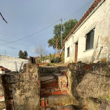 M&C Remodelações&Jardins - Abrantes - Shrub Removal