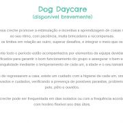 Braunhund - Lisboa - Dog Walking