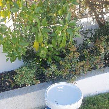 Nogueira Grilo Lda - Albufeira - Stein- oder Fliesenboden verlegen