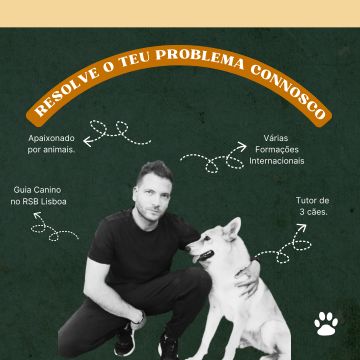 Grillok9 - Lisboa - Treino de Cães